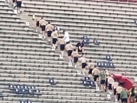 Group of personnel in matching shirts climbing stairs