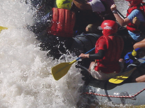 Group of white water rafters paddling into a wave