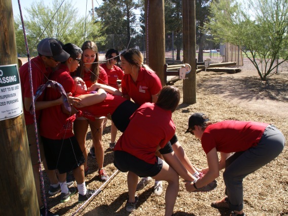 Group working together to lift partner