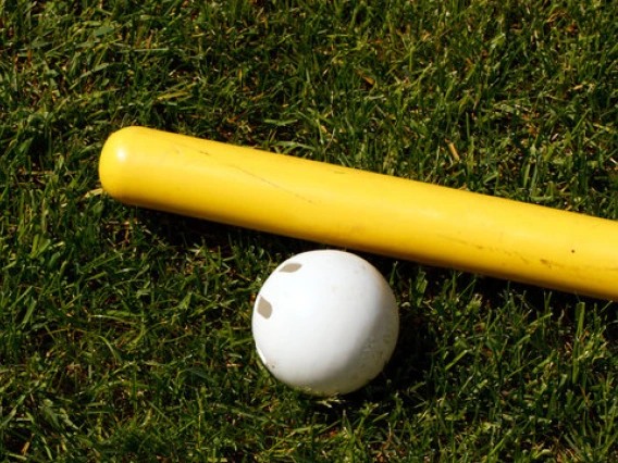 Wiffleball Image