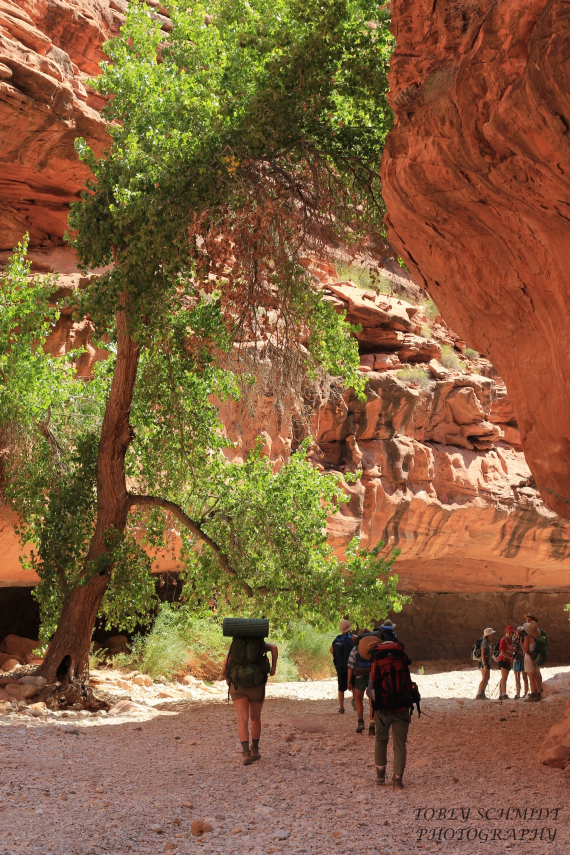 Group of hikers walking along the bottom of the Grand Canyon