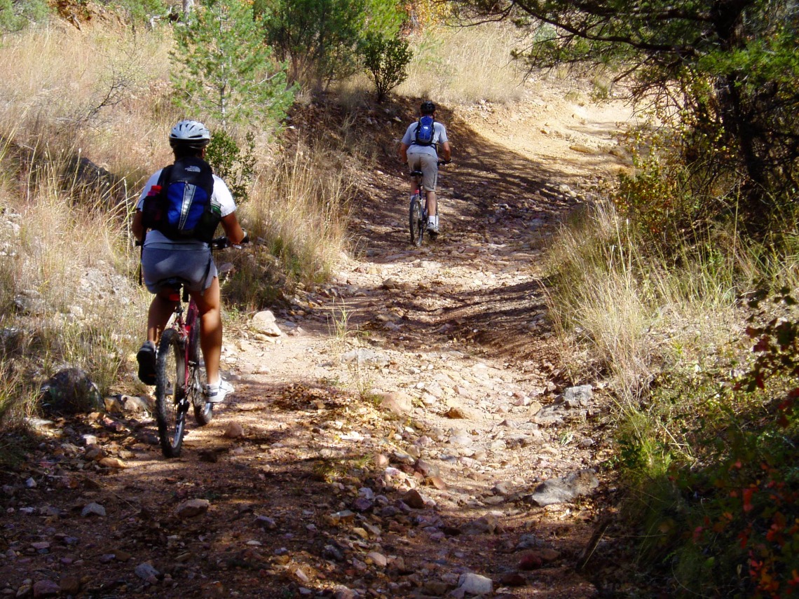 Pair of people mountain biking along trail