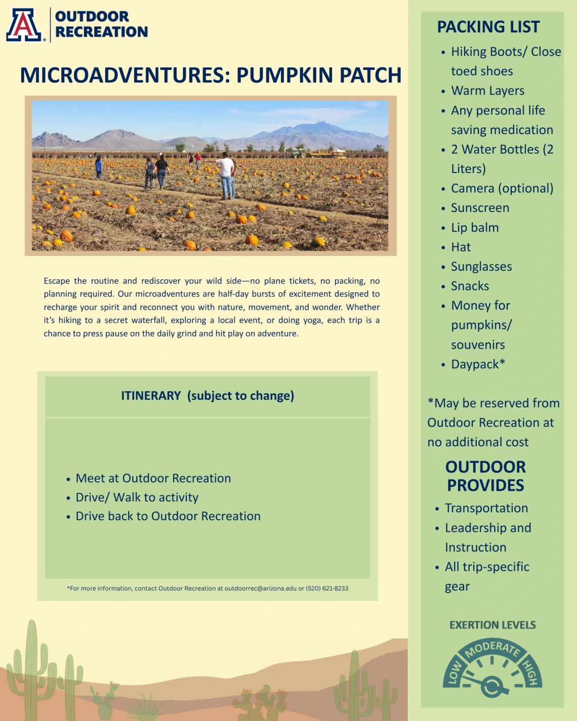 Microadventures Pumpkin Patch