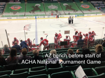AZ bench before start of ACHA National Tournament game