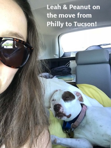 Leah & Peanut (dog) on the move from Philly to Tucson