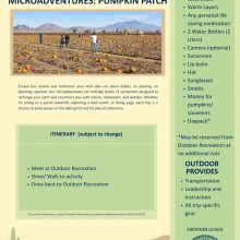 Microadventures Pumpkin Patch