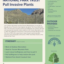 National Park Trust: Pull Invasive Plants