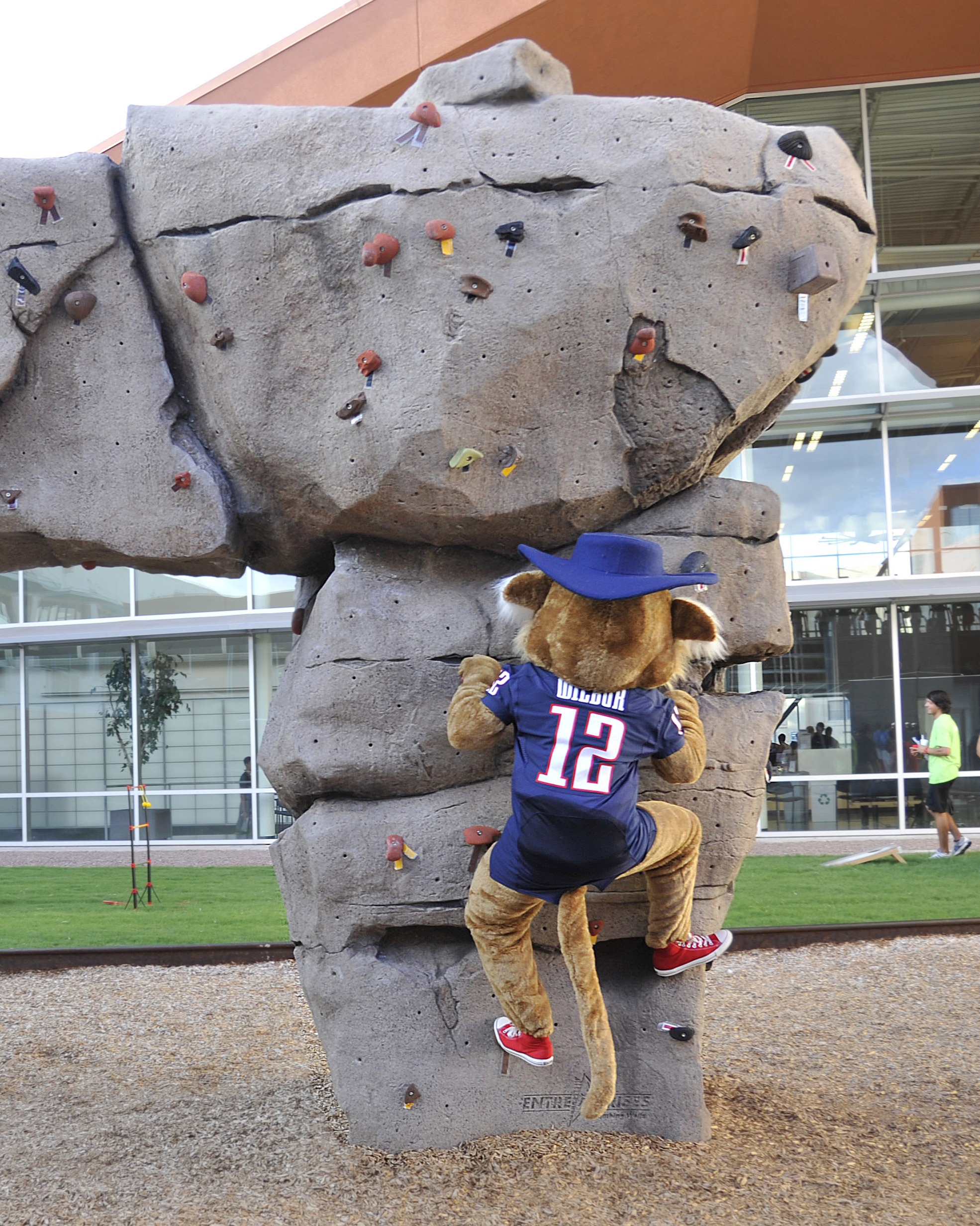 Wilbur Wildcat climbs the Campus Rec bouldering wall
